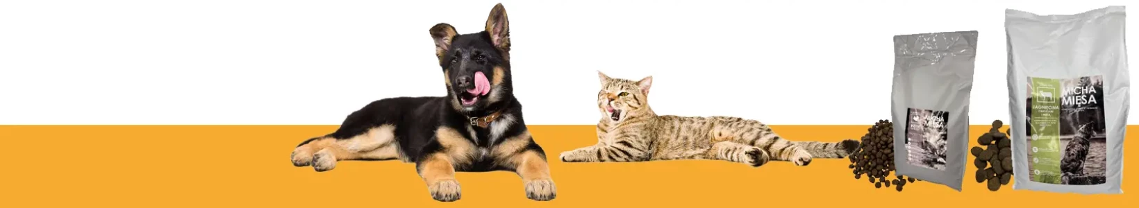 main banner background