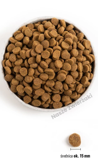 ACANA DOG Puppy Large Breed - sucha karma dla psa