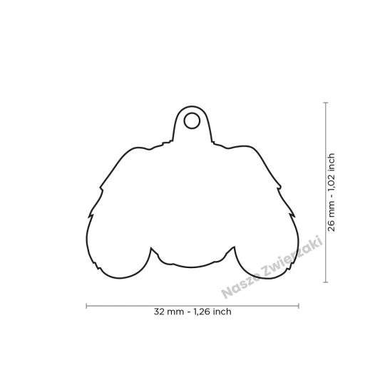 Adresówka Friends cavalier king - adresówka dla psa