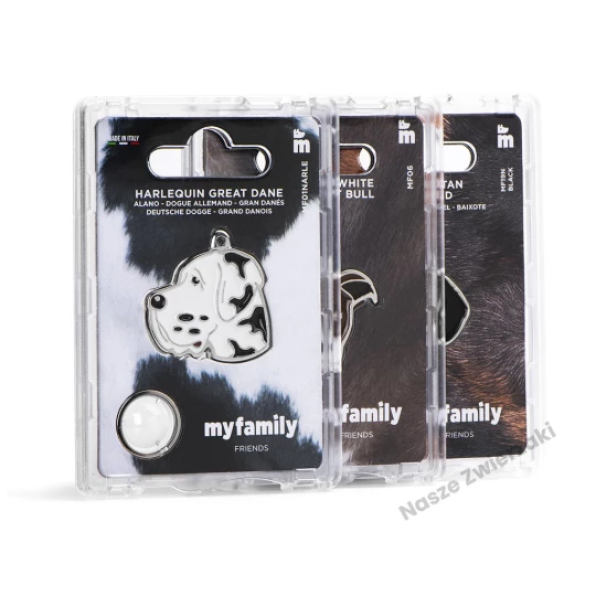 Adresówka Friends golden retriver - adresówka dla psa