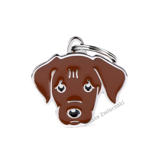 Adresówka Friends czekoladowy labrador - adresówka dla psa
