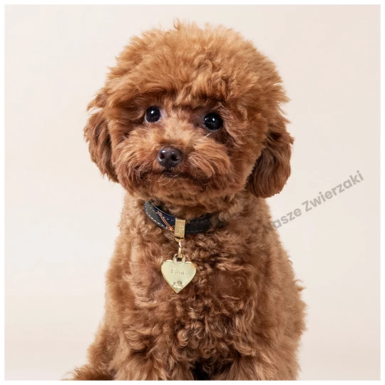 Adresówka Basic gold serce małe - adresówka dla psa