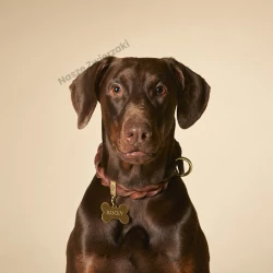 Adresówka Basic gold kostka duża - adresówka dla psa