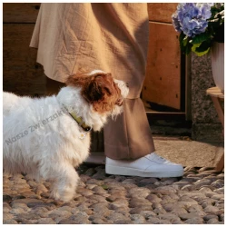 Adresówka Charms stokrotka duża - adresówka dla psa