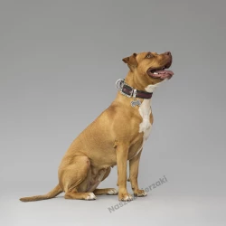 Adresówka Bronx kostka duża XL Bronx futuristic - adresówka dla psa